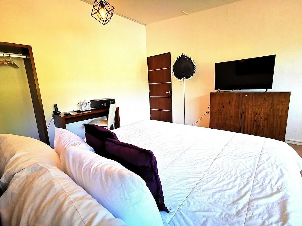 Casa Maraf Hotel Boutique - Adults Only 坎昆